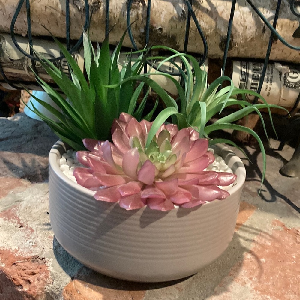 Faux Succulent plants & Ceramic pot